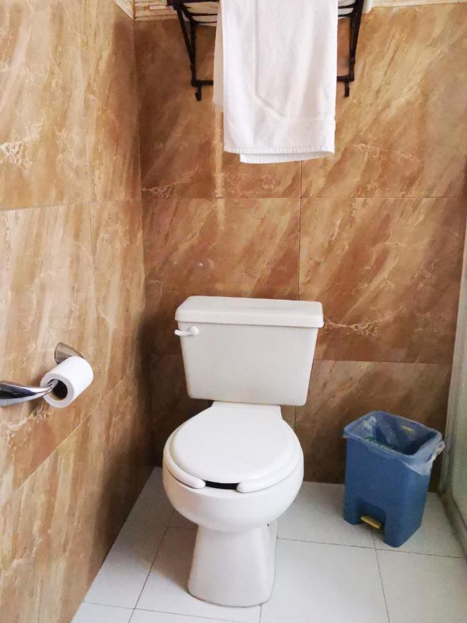 Suites San Marco Hotel 墨西哥城 外观 照片